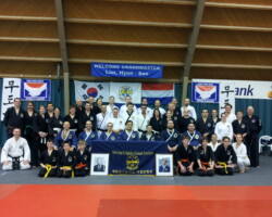 Jungki Kwan Hapkido seminar, The Netherlands 2014