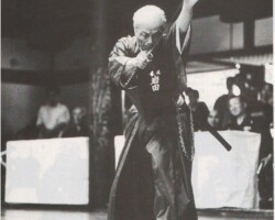 Iwata Norikazu sensei Iaido Roshukai
